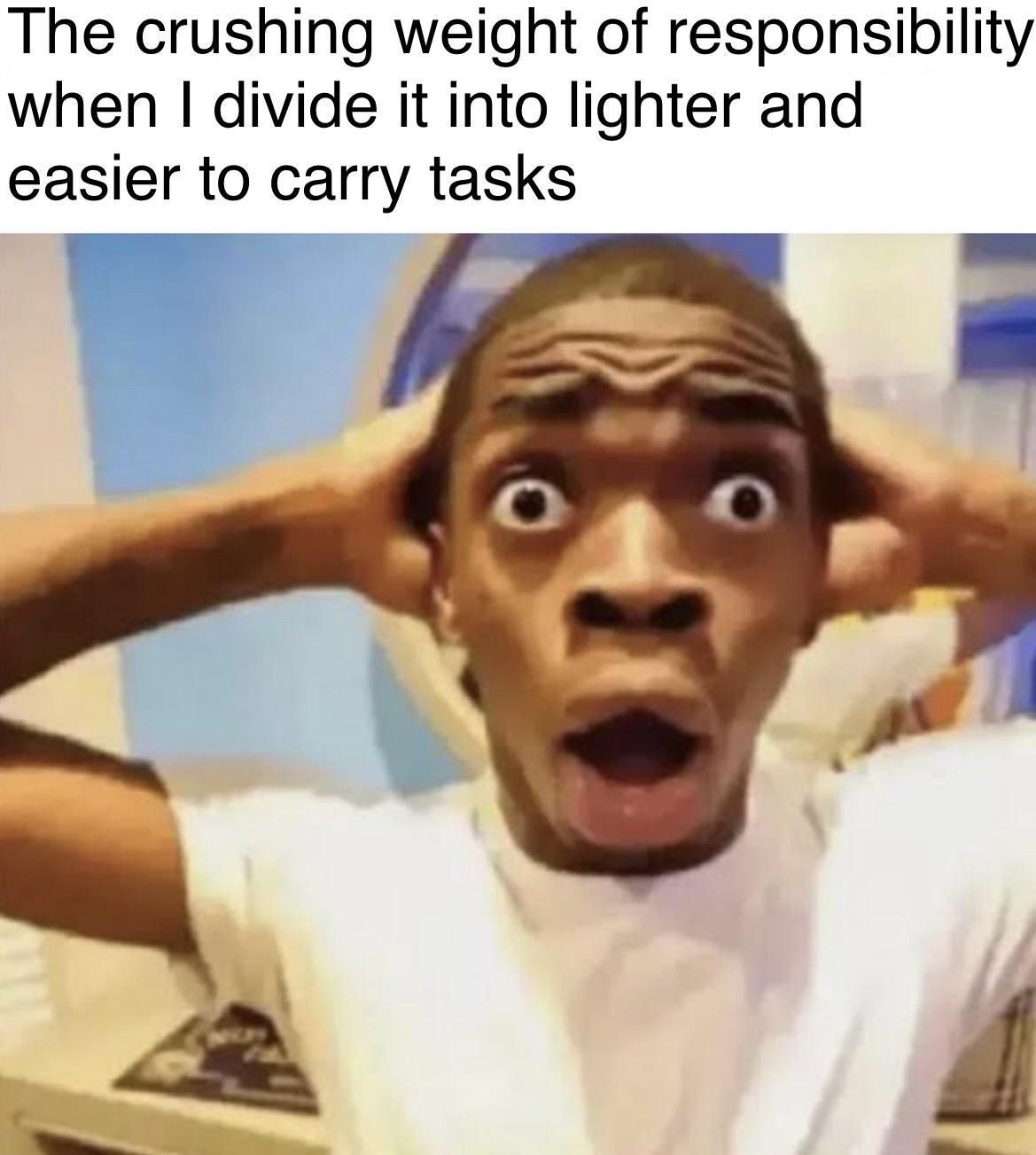 Shocked black guy meme dividing responsibility tasks