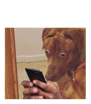 Shocked dog meme Template