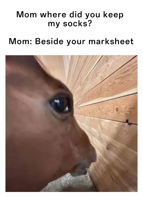 Side eye horse meme panicking when mom says socks are next to his marksheet Side eye horse meme panicking when mom says socks are next to his marksheet