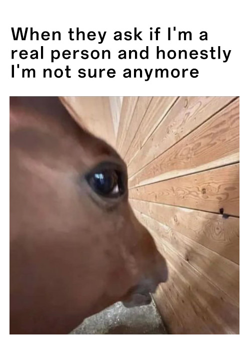 Side eye horse meme feeling uncertain when asked if he is a real person anymore Side eye horse meme feeling uncertain when asked if he is a real person anymore