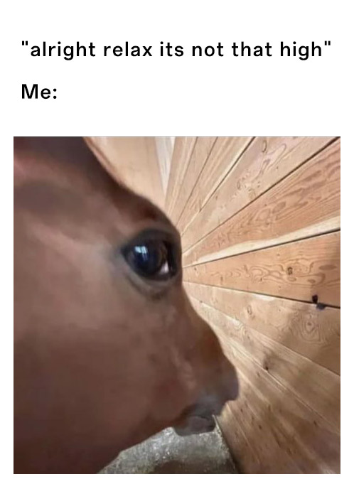Side eye horse meme panicking in tight stall corner when told it is not that high Side eye horse meme panicking in tight stall corner when told it is not that high