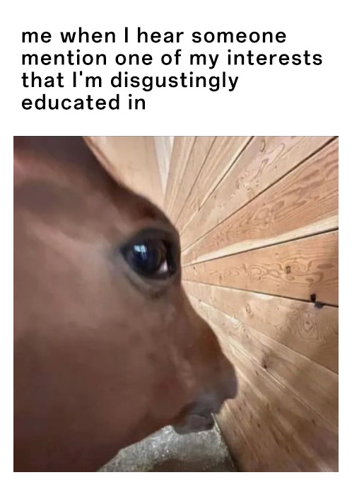 Side eye horse meme getting ready to info dump when someone mentions your interest you are deeply educated in Side eye horse meme getting ready to info dump when someone mentions your interest you are deeply educated in