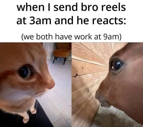 Side eye horse meme reacting to 3am reels from bro when both have 9am work Side eye horse meme reacting to 3am reels from bro when both have 9am work