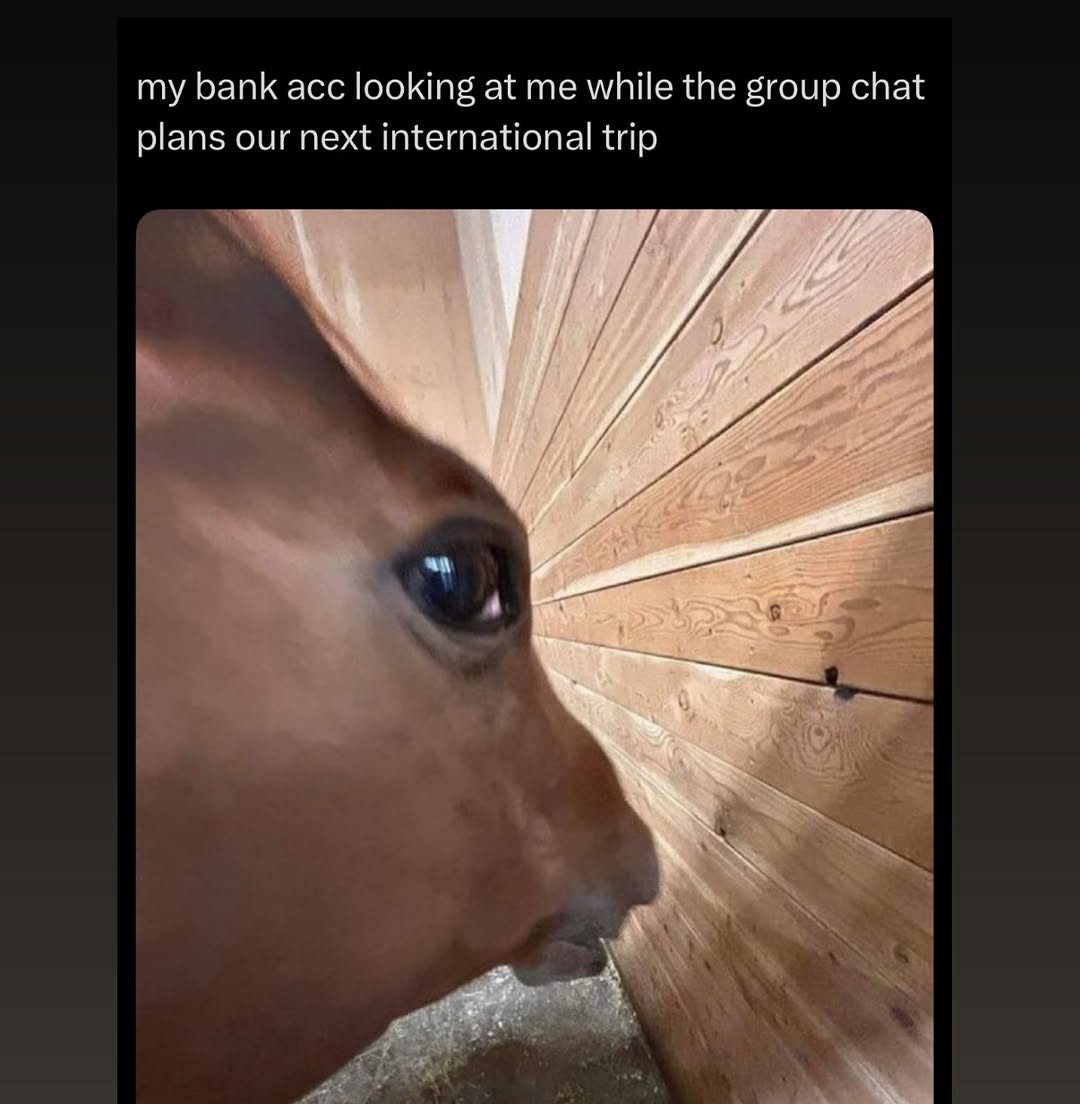 Side eye horse meme side eyeing you when group chat plans next international trip Side eye horse meme side eyeing you when group chat plans next international trip
