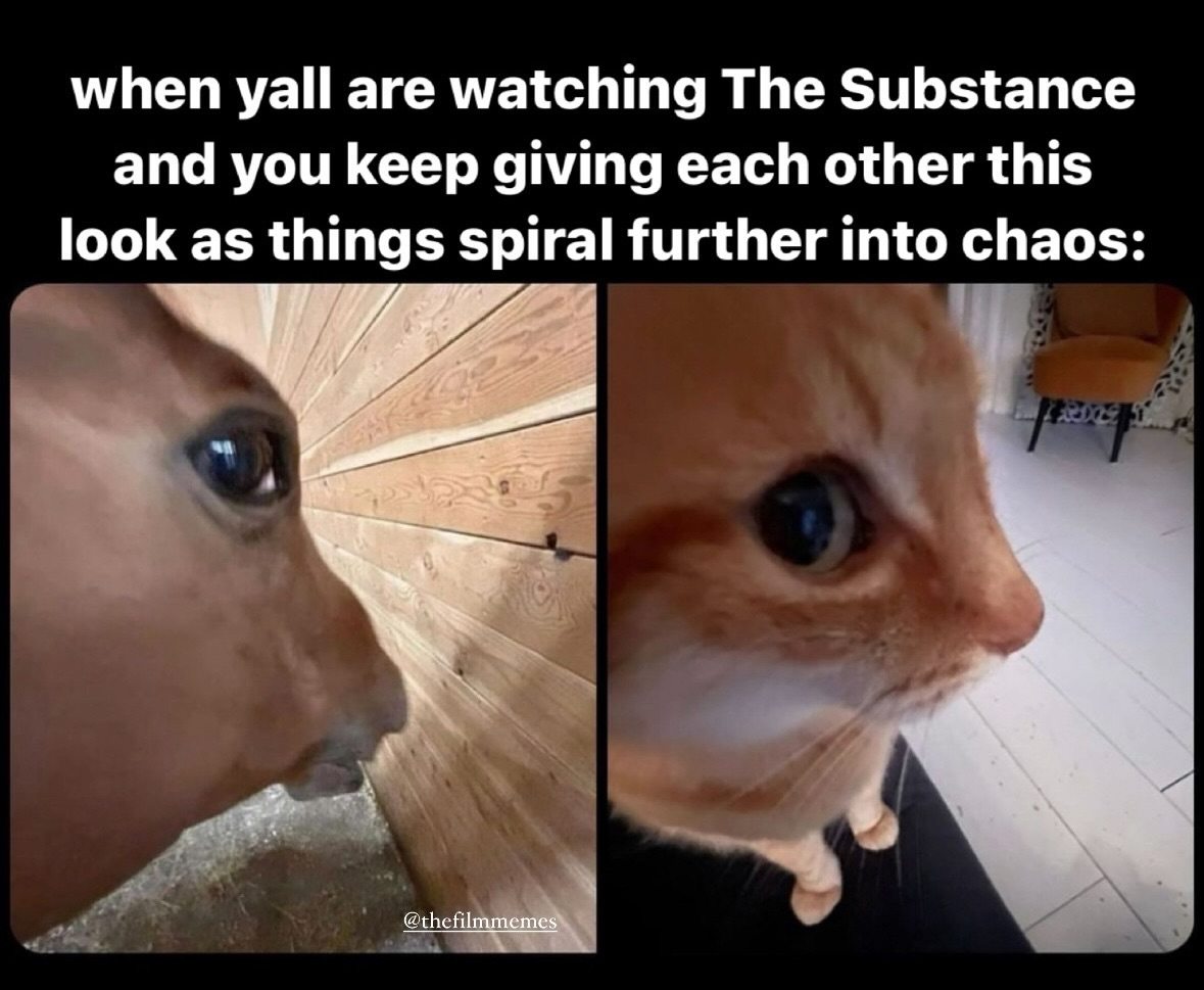 Side eye horse meme exchanging same side eye look with cat while watching The Substance as things spiral into chaos Side eye horse meme exchanging same side eye look with cat while watching The Substance as things spiral into chaos