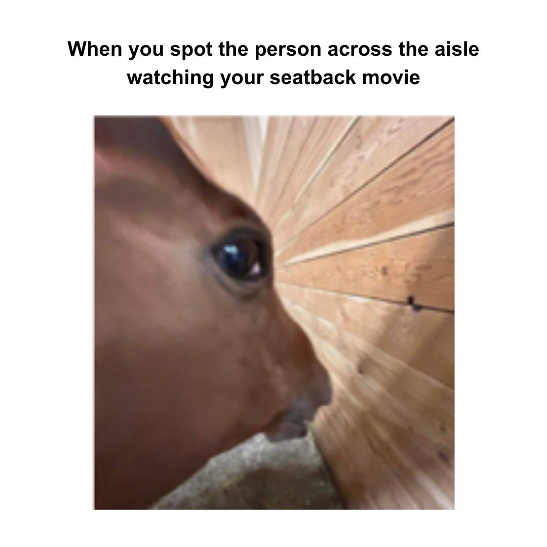 Side eye horse meme awkwardly spotting person across aisle watching your seatback movie Side eye horse meme awkwardly spotting person across aisle watching your seatback movie