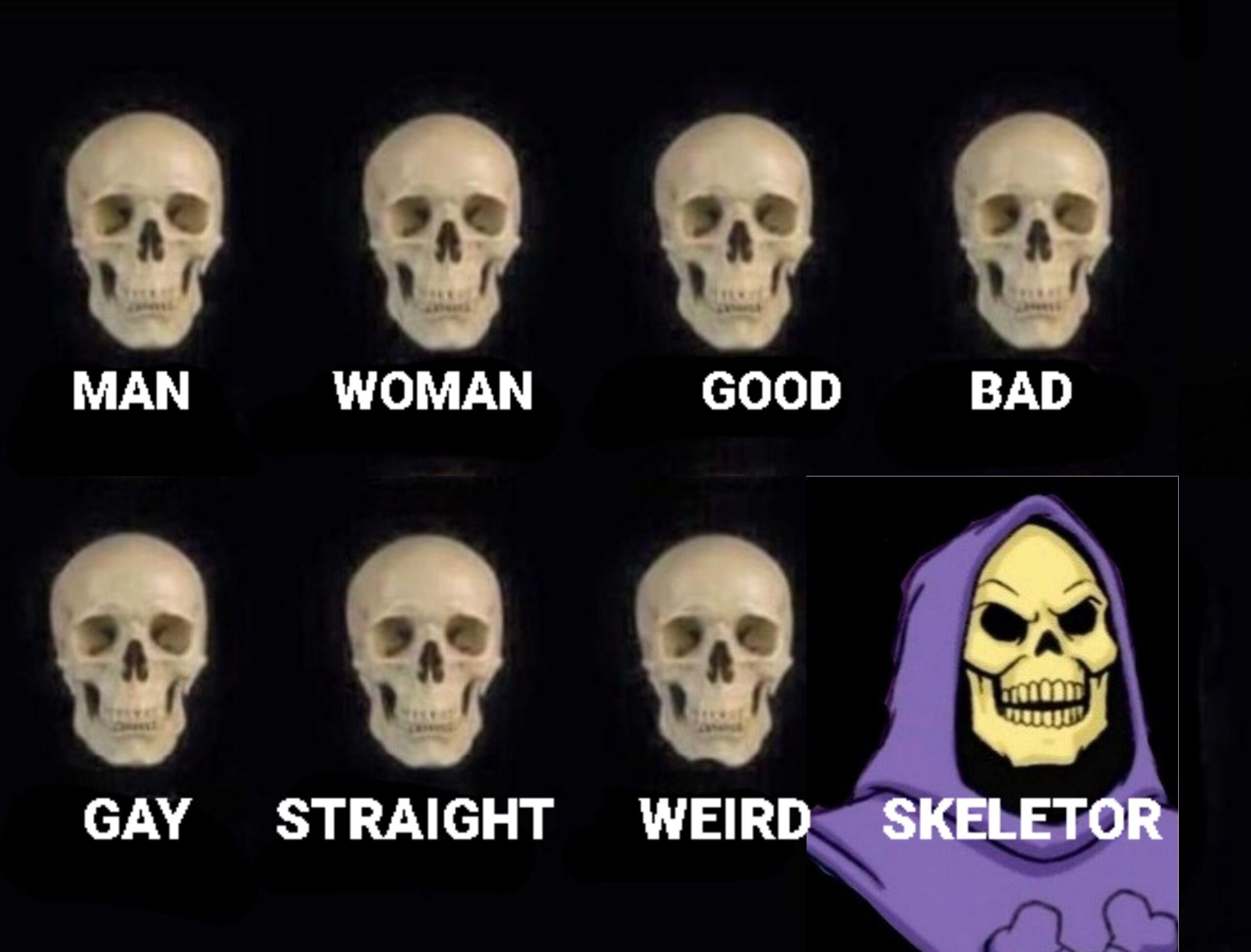 Skeletor meme calling everyone weird in blunt rant