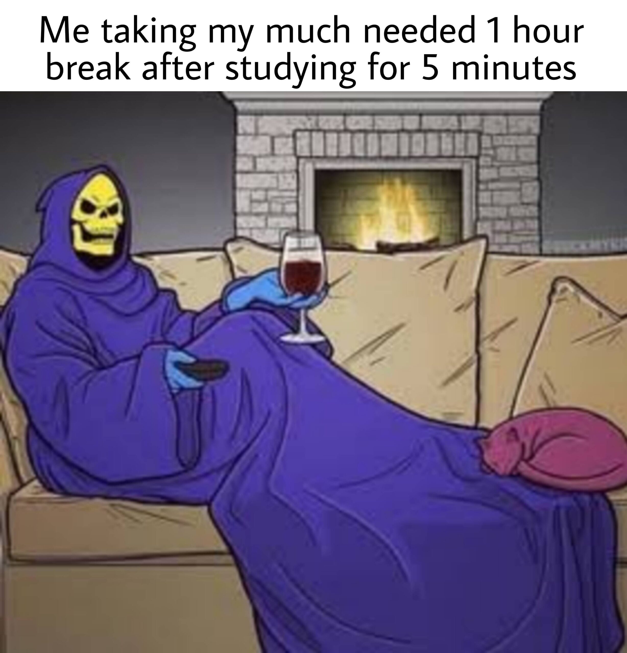 Skeletor meme taking a 1 hour break after studying
