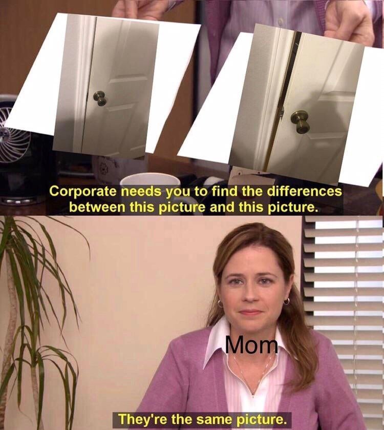 They're the same picture meme mom sees door still open