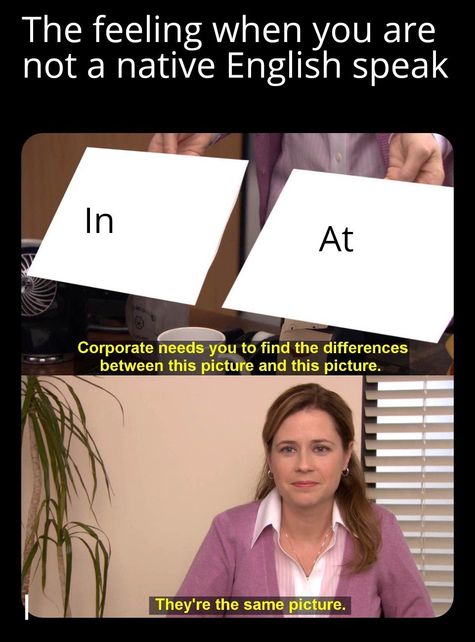 They're the same picture meme in vs at grammar confusion