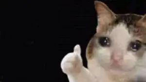 Crying Meme Templates & Sad Reaction Image Archive