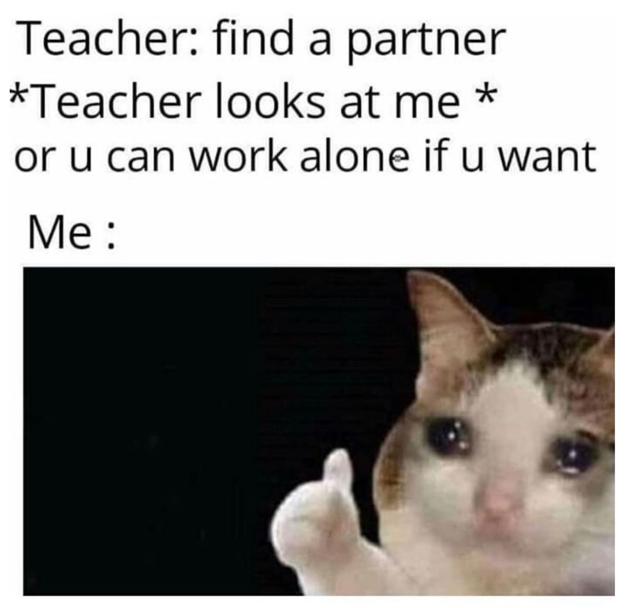 Thumbs up crying cat meme about working alone in class