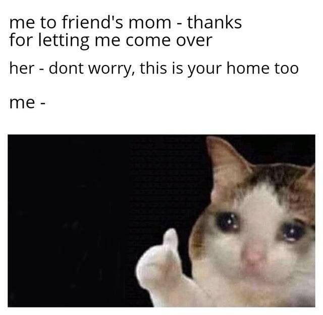Thumbs up crying cat meme friend's mom says it's your home too