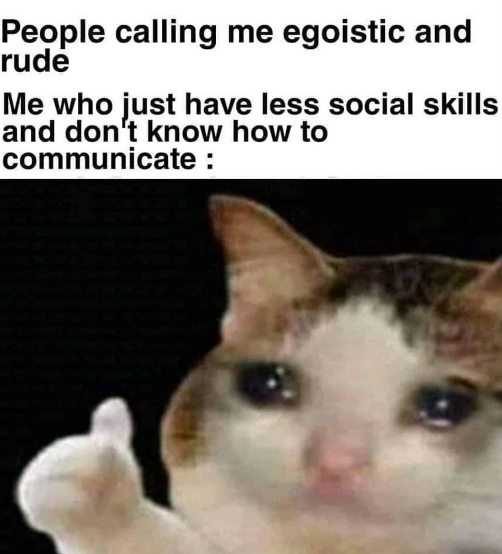 Thumbs up crying cat meme being called rude for bad social skills