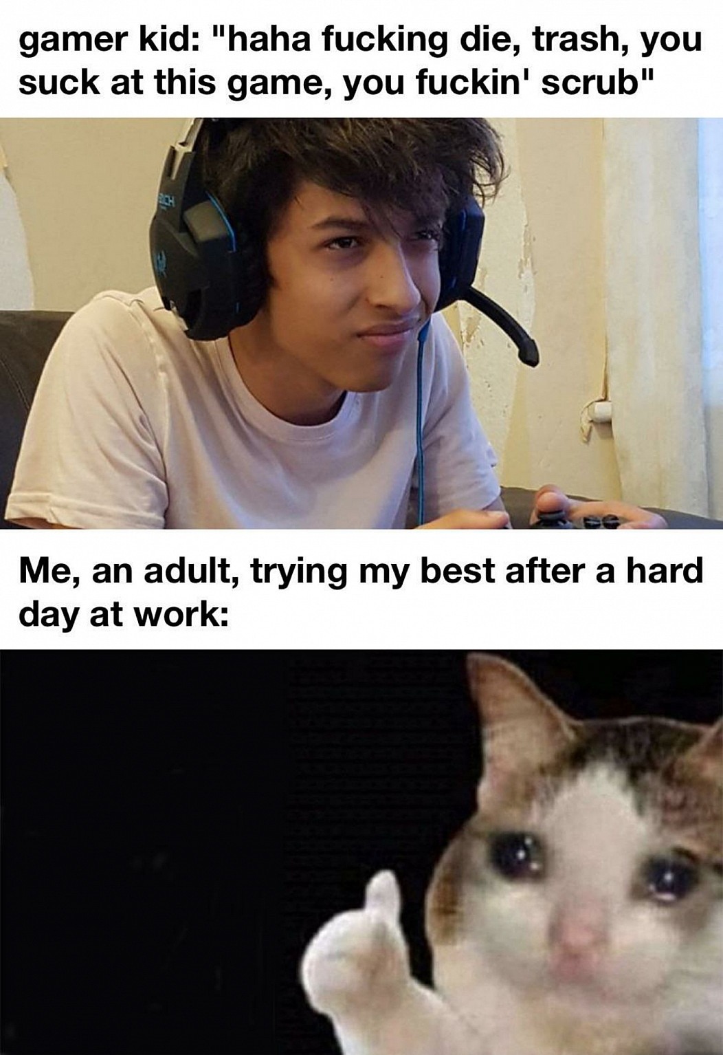 Thumbs up crying cat meme getting roasted by toxic gamer kids