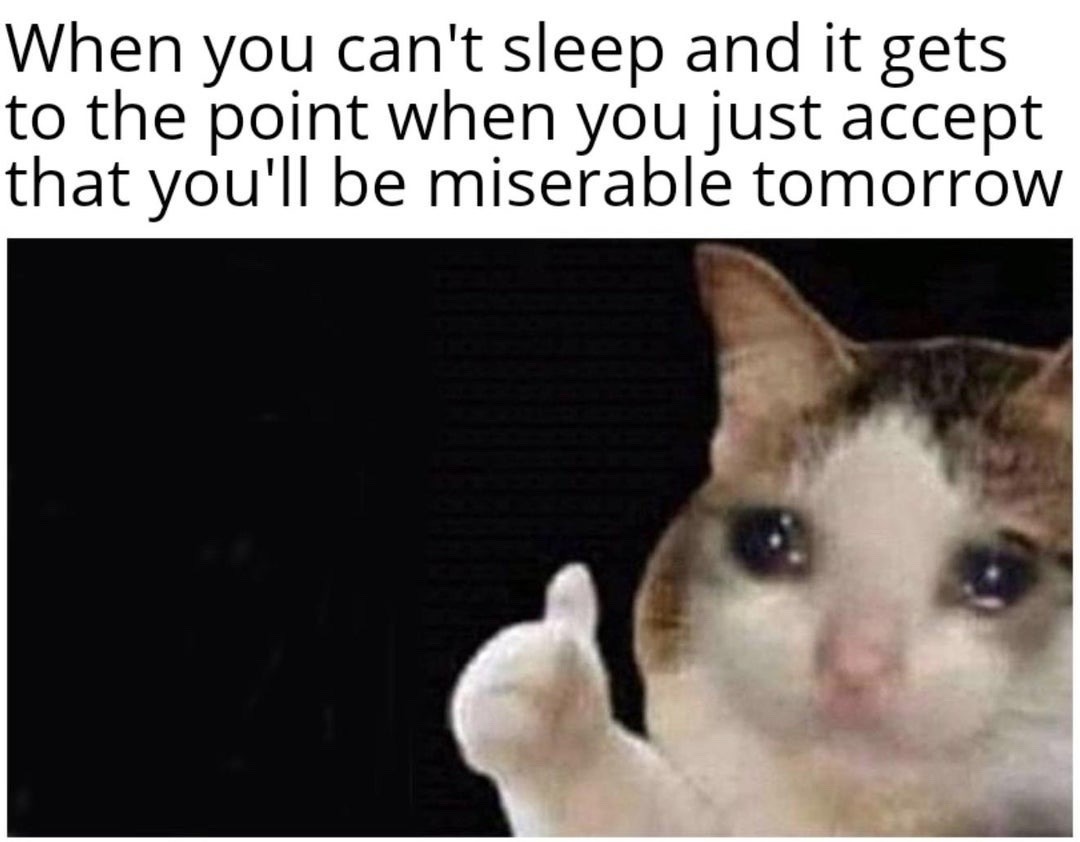 Thumbs up crying cat meme accepting misery after sleepless night