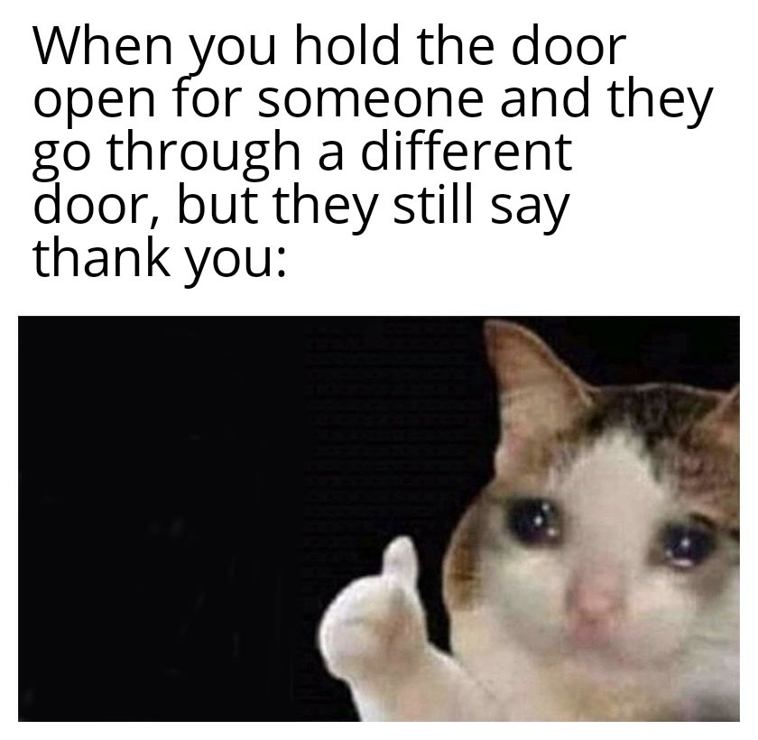 Thumbs up crying cat meme being thanked for holding the wrong door