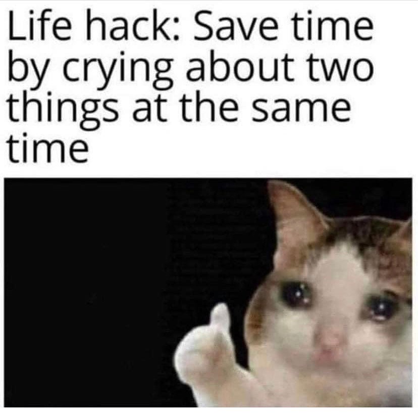 Thumbs up crying cat meme life hack about crying to save time