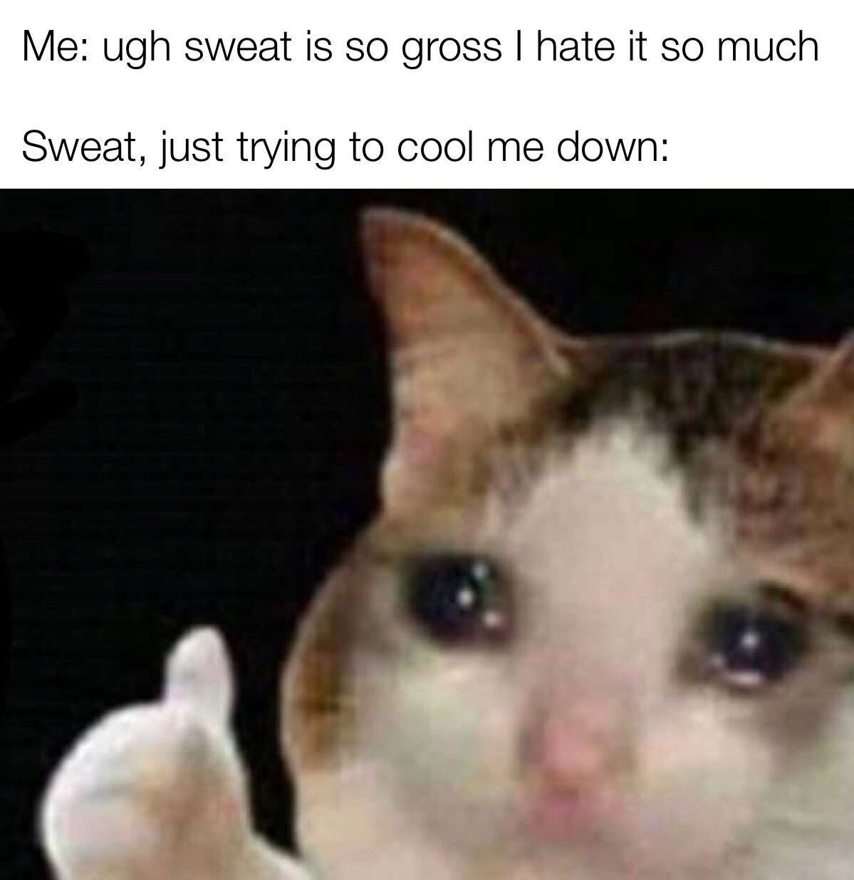 Thumbs up crying cat meme about hating sweat cooling you down