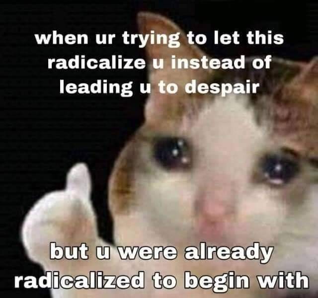 Thumbs up crying cat meme already radicalized before despair