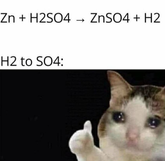 Thumbs up crying cat meme chemistry reaction h2 leaving so4