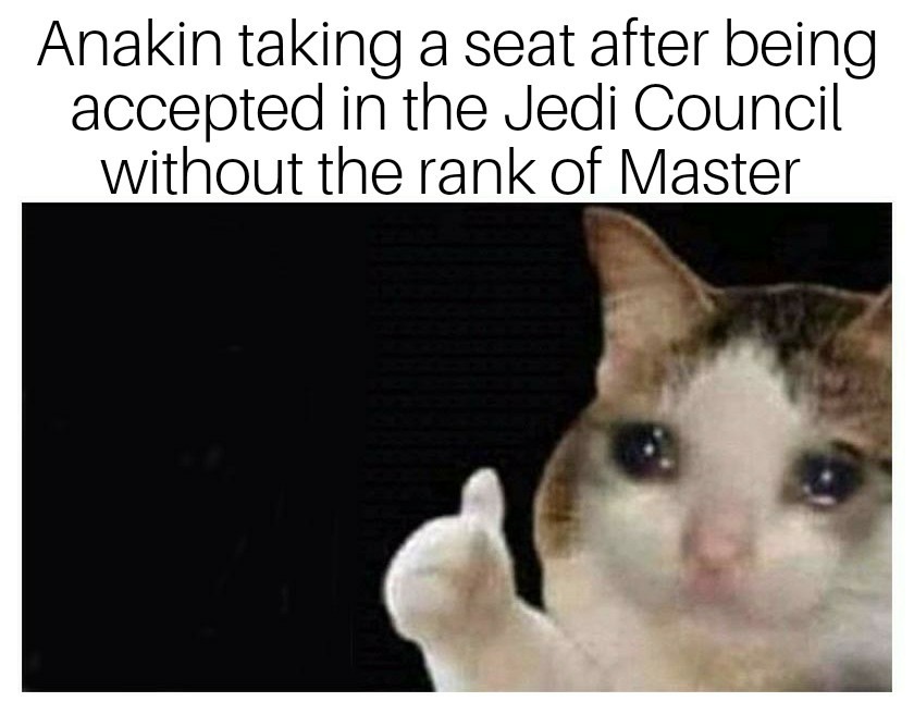 Thumbs up crying cat meme Anakin in Jedi Council without master rank