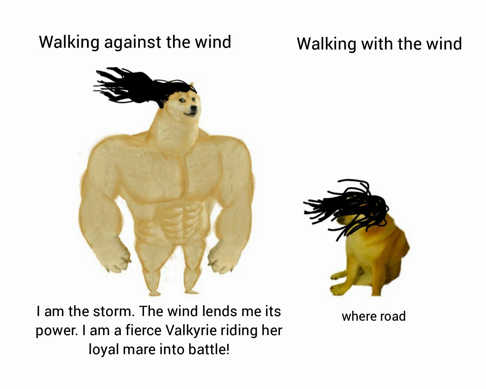 Funny meme showing dramatic vs pathetic reactions to wind Funny meme showing dramatic vs pathetic reactions to wind