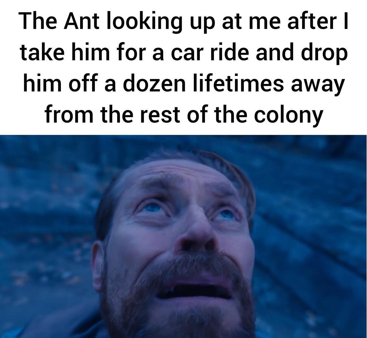 Willem dafoe looking up meme the ant stares at you after you take him for a car ride and drop him far away from the colony Willem dafoe looking up meme the ant stares at you after you take him for a car ride and drop him far away from the colony