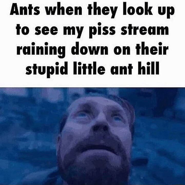 Willem dafoe looking up meme ants look up at piss stream raining down on their little ant hill Willem dafoe looking up meme ants look up at piss stream raining down on their little ant hill