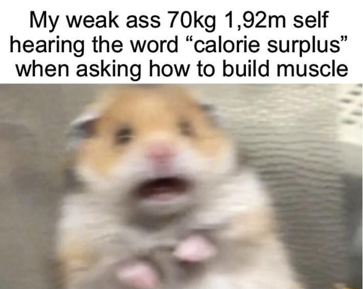 Scared hamster meme panicking hearing calorie surplus when asking how to build muscle
