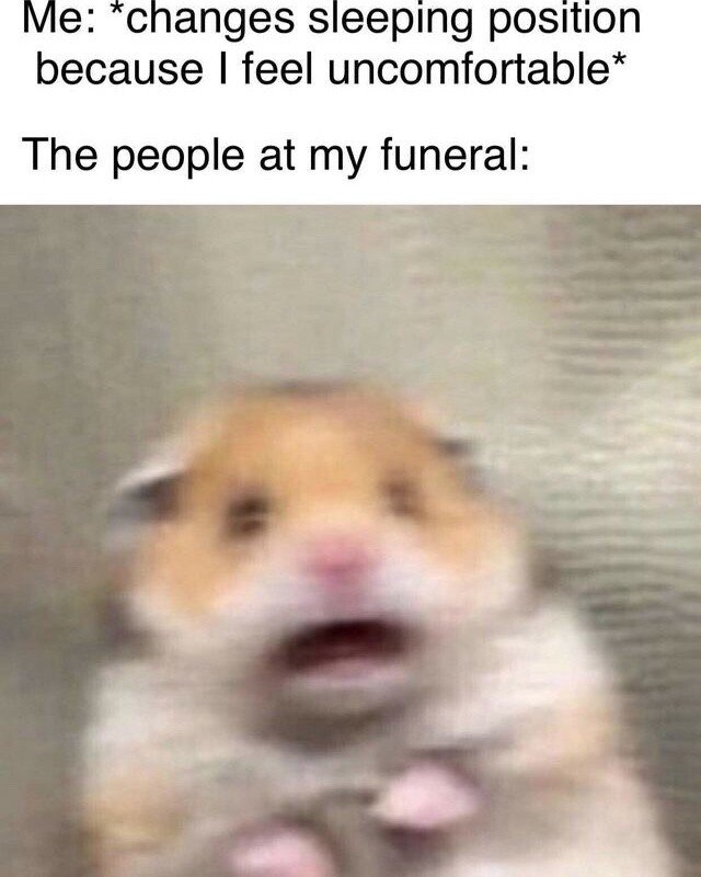 Scared hamster meme looking shocked at dead person changing sleeping position at funeral