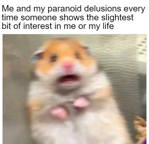 Scared hamster meme panicking when someone shows slightest bit of interest in your life
