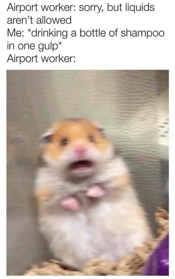 Scared hamster meme shocked seeing passenger chug shampoo at airport security