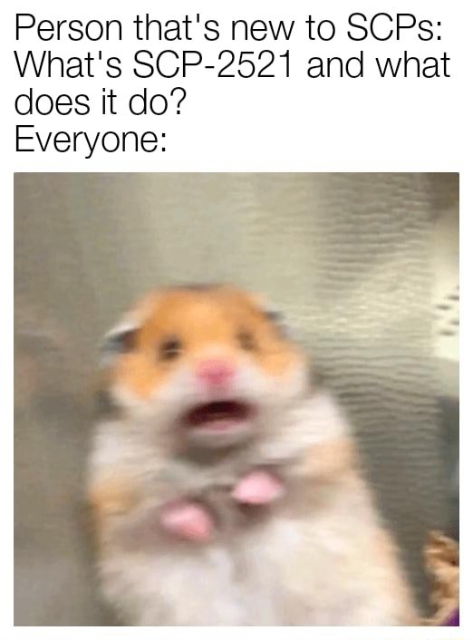 Scared hamster meme panicking when new SCP fan asks what SCP-2521 does