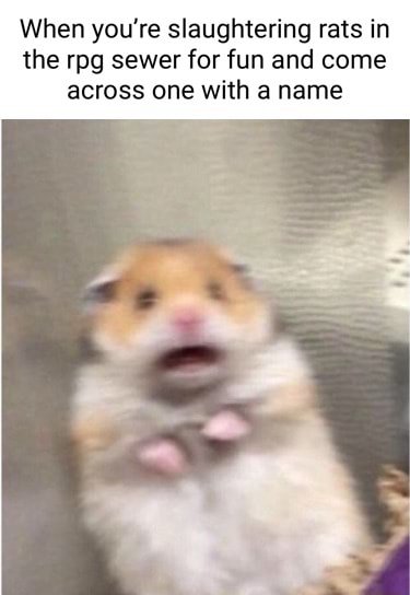 Scared hamster meme horrified when finding a named rat while slaughtering rpg sewer rats
