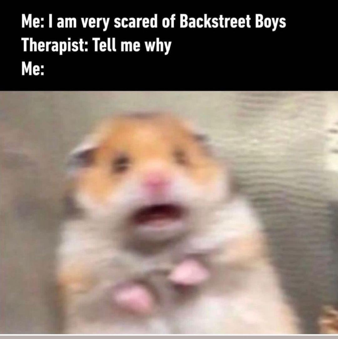 Scared hamster meme panicking when therapist asks why scared of Backstreet Boys
