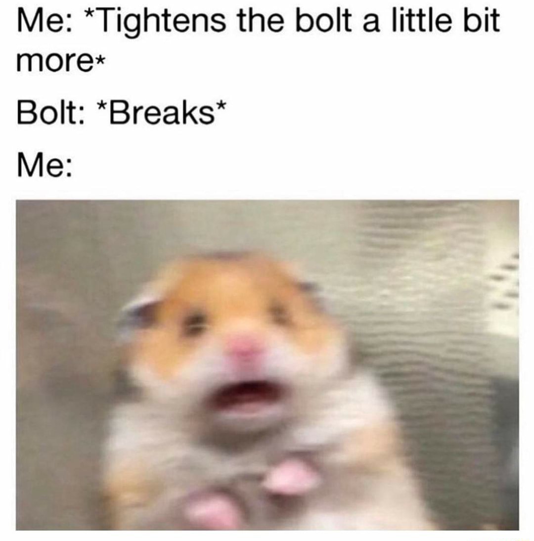 Scared hamster meme panicking after tightening the bolt that suddenly breaks
