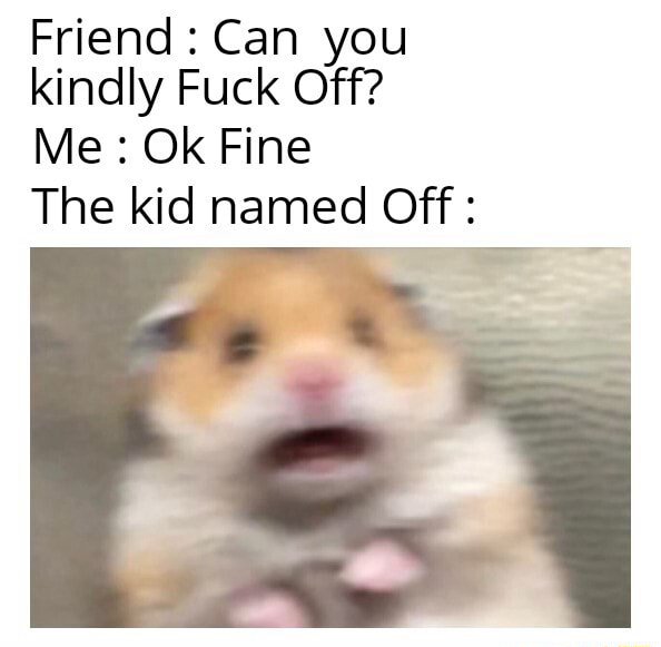 Scared hamster meme shocked as the kid named off reacts to the funny pun line