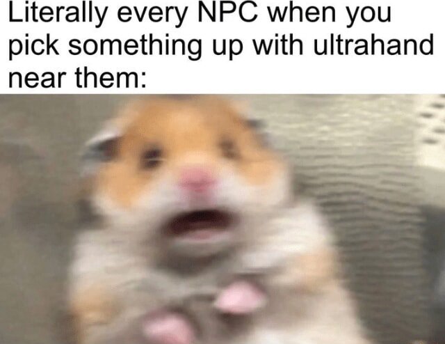 Scared hamster meme panicking when you pick something up with ultrahand near npc