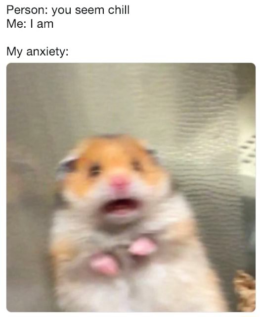 Scared hamster meme panicking wildly when others say you seem chill