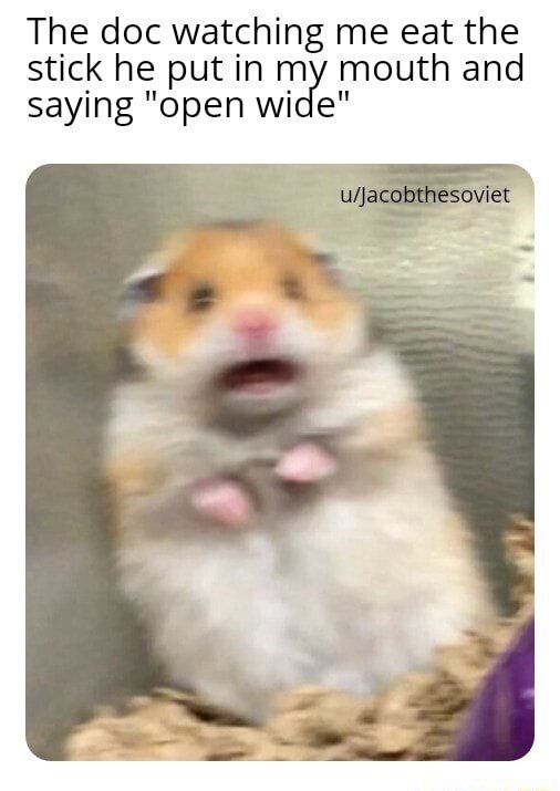 Scared hamster meme eating the stick doctor put in mouth when told to open wide