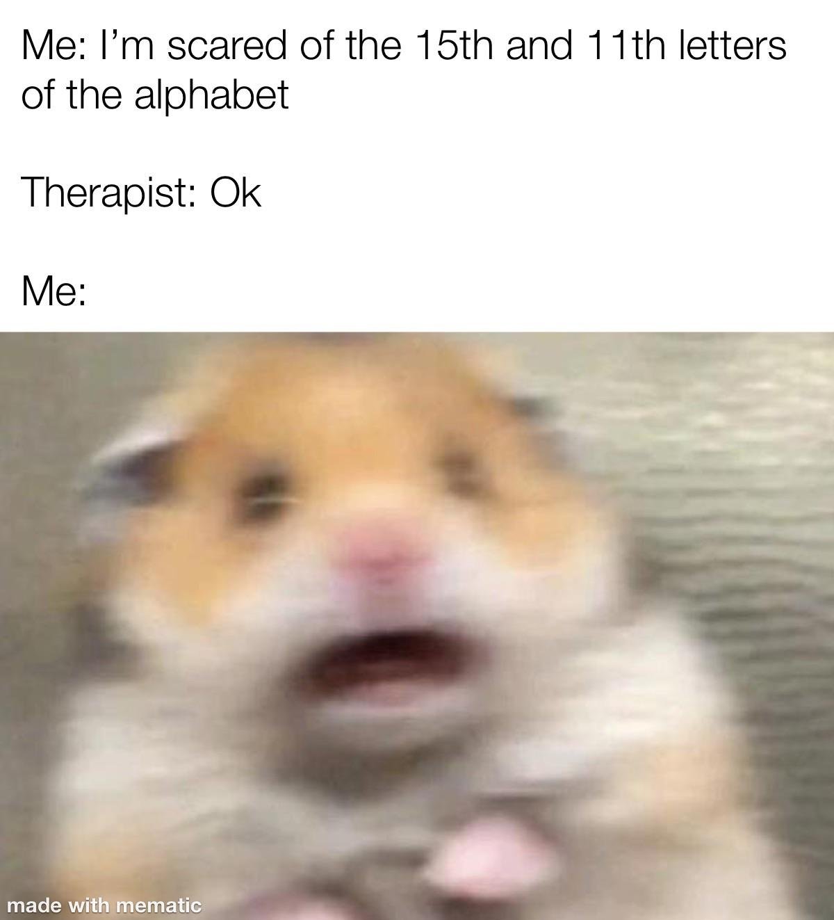 Scared hamster meme panicking when therapist says ok to his fear of 11th and 15th alphabet letters