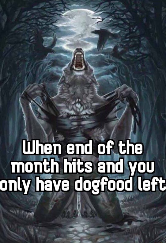 Wolf howling meme despair over only dogfood left month end Wolf howling meme despair over only dogfood left month end
