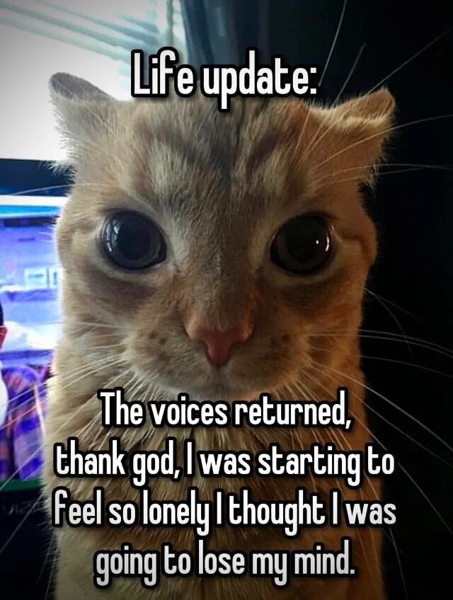 Orange cat staring meme glad the voices returned after feeling lonely