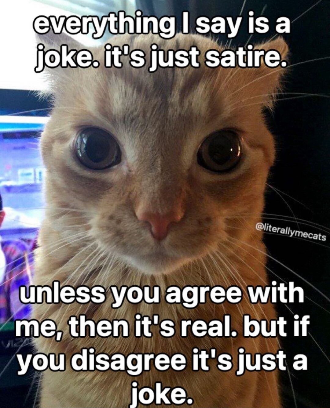 Orange cat staring meme says jokes are real if you agree