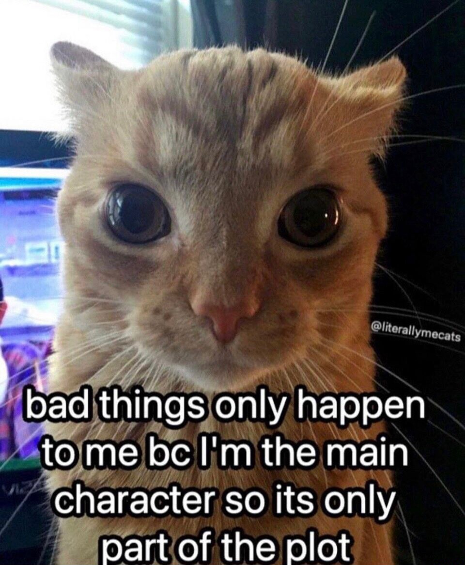 Orange cat staring meme thinks bad things are main character plot