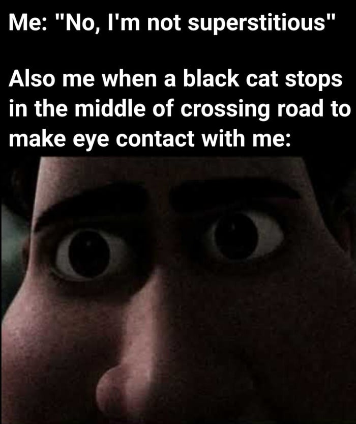 Tighten staring meme panics when black cat makes eye contact