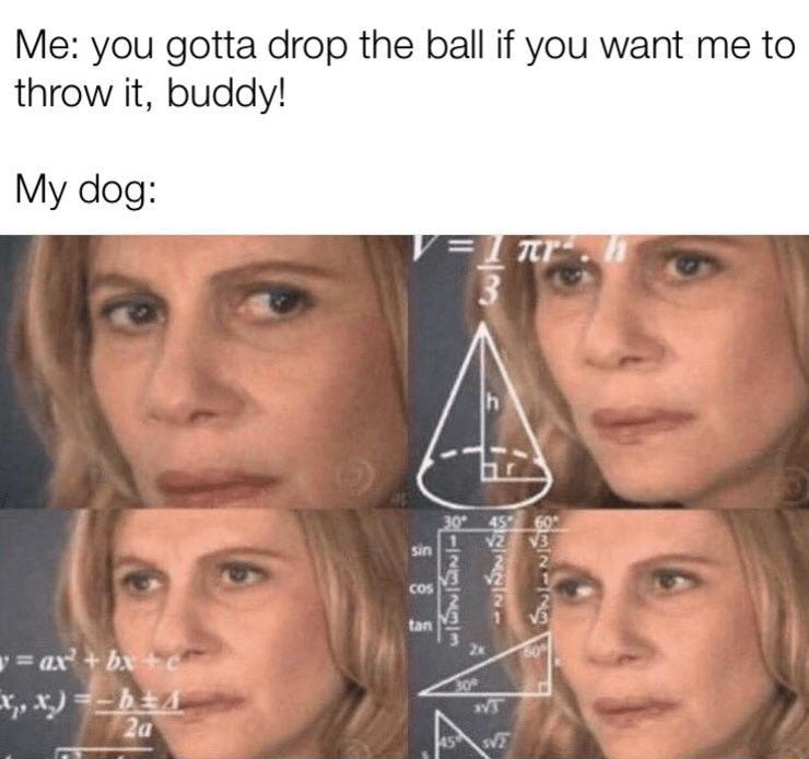 Confused math lady meme confused about fetch ball rules Confused math lady meme confused about fetch ball rules