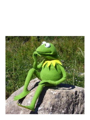 Kermit thinking meme template