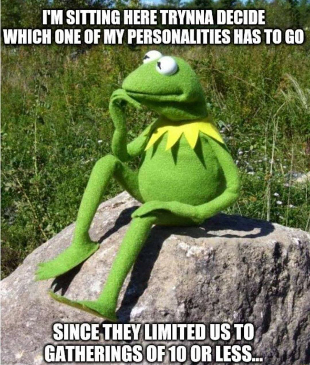 Kermit thinking meme deciding which personality to cut for 10 limit